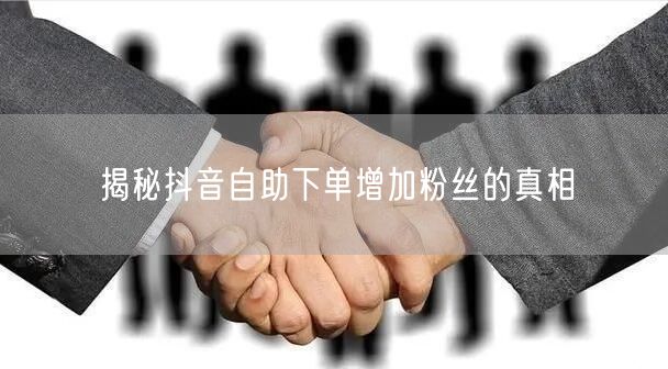 揭秘抖音自助下单增加粉丝的真相