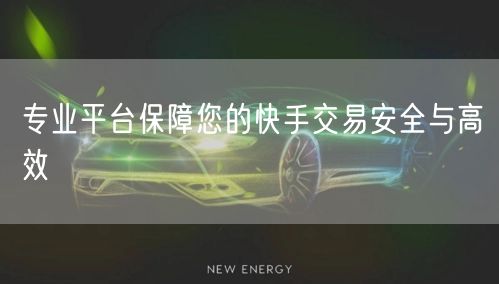 专业平台保障您的快手交易安全与高效